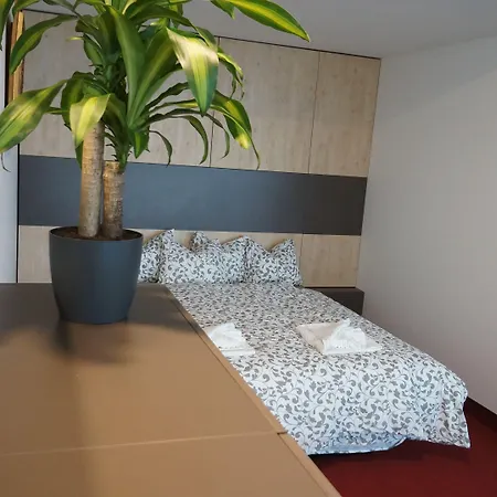 Zora Exclusive By Chors 브라티슬라바